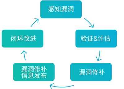 Vulnerability Handling Process